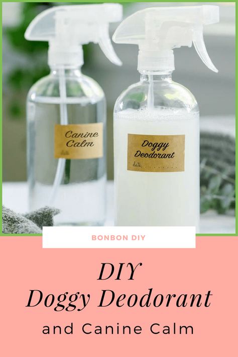 Dog Odor Spray, Dog Perfume, Dog Spray, Spray Deodorant, Dog Remedies, Diy Tumblr, Dog Odor, Dog Essentials, Roman Chamomile