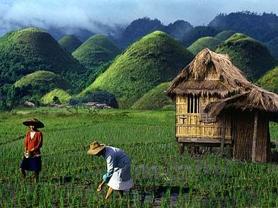 Chocolate Hills - Bohol, Philippines Philippines Tourism, Chocolate Hills, Bohol Philippines, Philippines Culture, Quezon City, Bohol, Philippines Travel, Tourist Spots, Cebu