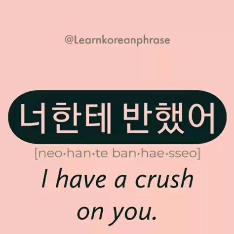 Learn Korean Phrase on Instagram: “Learn to speak like native Korean speakers 😁🇰🇷 "I have a crush on you." 너 you 한테 to 반했어 have been enchanted, attracted Phrase requested…” I Like You In Korean, Korean Flirting Phrases, Korean Sayings Quotes, Korean Sentences, Cute Korean Words, Learn To Speak Korean, Learning Korean Grammar, Speak Korean, Learn Basic Korean