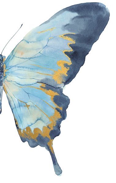 Butterfly Watercolor Painting, Painting Clipart, Butterflies Clipart, Butterfly Art Painting, Butterfly Clip Art, Watercolor Flower Art, Butterfly Watercolor, Calendar Design, Butterfly Wallpaper