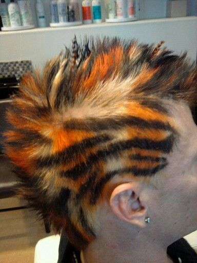 Tiger print fowhawk Tiger Hair Color, Tiger Hairstyle, Orange Mullet, Tiger Stripes Hair, Tiger Hair, Dyeing Hair, Hair Portfolio, Undercut Designs, Tiger Painting