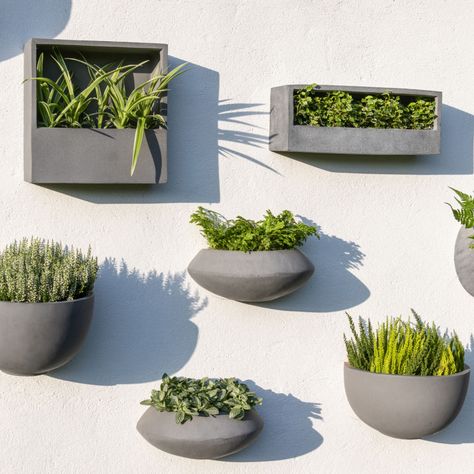 They're almost here! Our Wally Wall-Mounted Fiberstone Planters from Dutch brand Pottery Potts will soon be arriving in 2 new designs: The Balcony Low Wally is a slimline rectangular wall planter and the Jack Wally is a slimline square planter. Transform your space into an endless oasis of greenery. An ideal collection for wall mounting climbing plants or hang in groups to create a green wall. Wally planter pots are made from high-quality fiberstone composite material with a finish that re... Black Balcony, Green Wall Plants, Wall Planters Outdoor, Fireplace Candle Holder, Green Wall Design, Pottery Pots, Pottery Pot, Patio Wall, Stone Planters