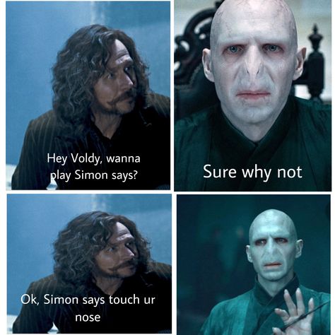 Voldy Moldy, Voldemort Funny Pictures, Funny Voldemort Pictures, Voldemort Laughing, Voldemort Meme, Harry Potter Memes Clean, Harry Potter Memes, Wizarding World, Harry Potter