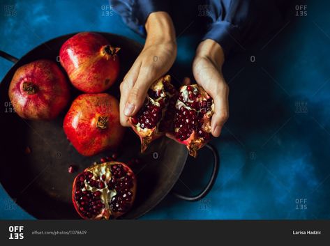 Hands Holding Pomegranate, Opening Pomegranate, Holding Pomegranate, Fruit References, Eating Pomegranate, How To Open Pomegranate, Pomegranate How To Eat, Pomegranate Art, Reference Ideas