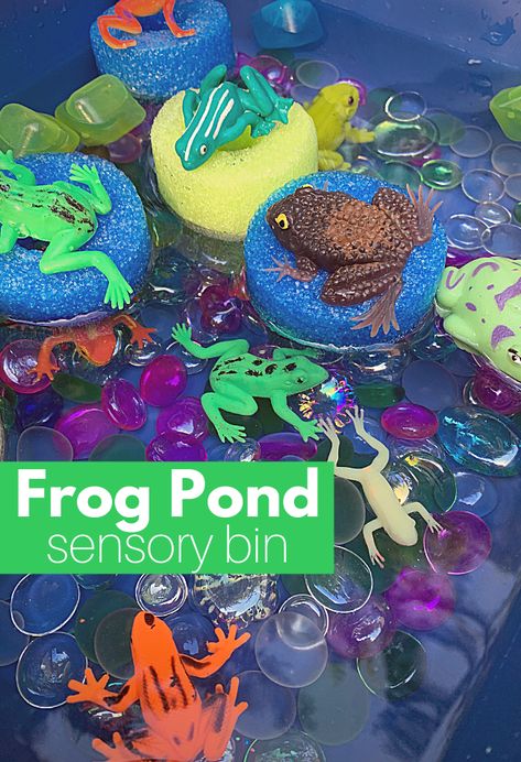 Play, pretend, and work on language skills whie you splash in this frog pond sensory bin for preschoolers. This sensory activity is fun and educational. Pond Sensory Bin, Pond Sensory, Sensory Bin For Preschoolers, Reptiles Preschool, Frog Life Cycle Activities, Pond Life Theme, Frogs Preschool, Pond Crafts, Frog Activities