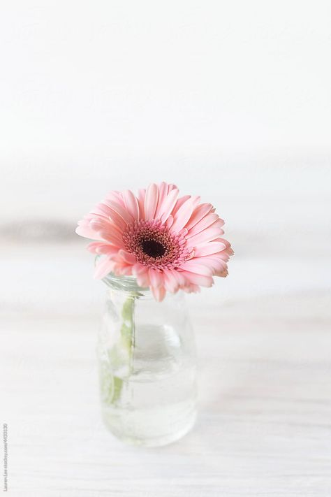 Flower In Glass Vase, Vision 2024, Pink Daisy, Table Arrangements, Single Flower, House Wedding, Bud Vase, Wooden Table, Wooden Tables