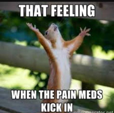 20 Memes That Describe What It's Like to Take a Lot of Medication Multiple Sclerosis Quotes, Happy Palm Sunday, April Fools Pranks, Best Friend Poems, Invisible Illness, Take A Deep Breath, Medical History, Funny Animal Memes, Deep Breath