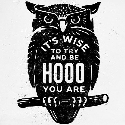 . Owl Quotes, Owl Wisdom, Owl Logo, Owl Collection, Owls Drawing, Owl Pictures, Beautiful Owl, Owl Decor, Owl Art