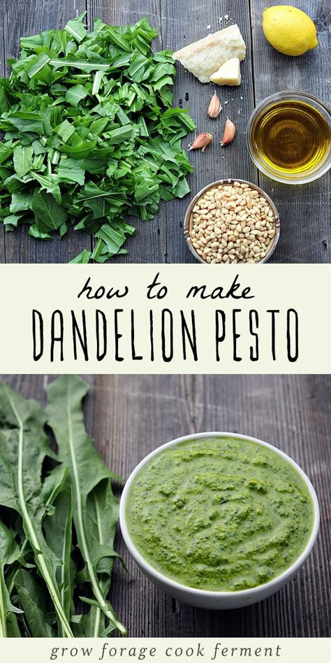 Dandelion Pesto Recipe, Dandelion Pesto, Dandelion Greens, Simple Appetizer, Wild Food Foraging, Food Foraging, Green Pesto, Foraging Recipes, Foraged Food