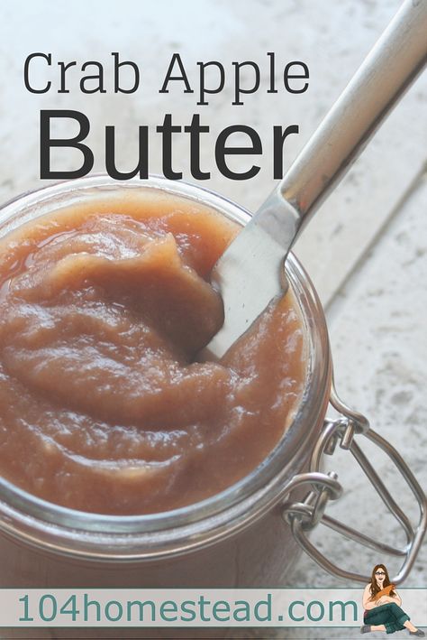 Crab apple butter is an amazing thing. It is like a thick, sweet apple sauce that is used as a condiment. It can be used in a sandwich or on toast. Crab Apple Butter, Crab Apple Recipes, Crab Apples, Smoked Salmon Bagel, Apple Butter Recipe, Apple Sauce, Jam And Jelly, Easiest Apples, Crab Apple