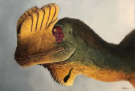 🌿 Dilophosaurus, a dinosaur from the Early Jurassic period, measured around 20 feet (6 meters) in length and weighed approximately 1,000 pounds (450 kilograms). It lived approximately 193 to 188 million years ago in what is now North America. Known for its distinctive double crests on its skull, Dilophosaurus was a carnivorous predator that likely hunted small to medium-sized prey. Contrary to its Hollywood depiction, there is no evidence it could spit venom. Fossil discoveries of Dilophosa... Dilophosaurus Art, Real Dinosaur, Jurassic Period, Prehistoric Dinosaurs, Ancient Animals, Paleo Art, Jurassic Park World, Dinosaur Art, Prehistoric Creatures