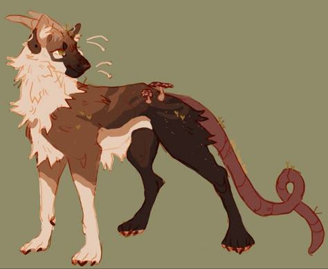 Canine Creature Design, Feral Oc, Fursona Inspiration, Animal Oc, Drawn Animals, Dragon Anatomy, Canine Drawing, Canine Art, Fantasy Creatures Art