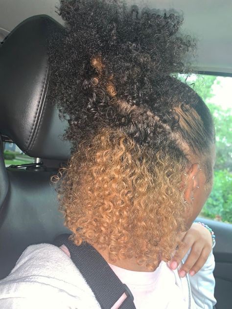 Peekaboo Dyed Curly Hair, Peekaboo On Curly Hair, Under Hair Dye Curly, Curly Hair Under Dye, Coily Hairstyles, 2024 Haircuts, Peekaboo Hair Colors, Hair Stripes, Dyed Curly Hair