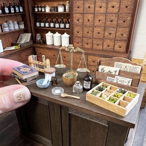 Miniature Apothecary Shop, Miniature Magic Shop, Miniature Curiosity Cabinet, Diy Minature Stuff, Apothecary Dollhouse, Miniature Pharmacy, Dollhouse Apothecary, Miniature Apothecary, Victorian Apothecary