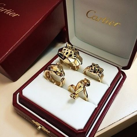 cartier Cartier Panthere Ring, Cartier Panther Ring, Panthere Cartier, Cartier Rings, Cartier Jewellery, Cartier Panther, Panther Jewelry, Panther Ring, Cartier Panthere