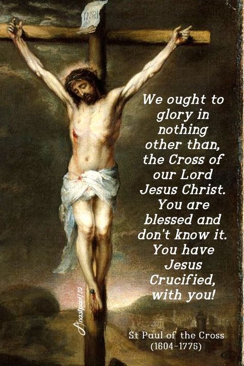 “We ought to glory in nothingother than, the Cross of our Lord Jesus Christ.You are blessed and don’t know it.You have Jesus Crucified, with you!” Prayers Of The Saints, Ignatius Of Antioch, Jesus Crucified, Grace Quotes, 11 March, Luke 11, Saint Quotes Catholic, Light Of Christ, Jesus Christ Artwork