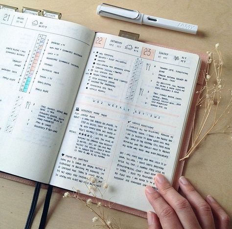 Leuchtturm1917 A5 Dotted Notebook, Midori MD Leather Cover, Midori Brass Index Tabs, Lamy Safari EF Fountain Pen Minimalist Bujo, Business Study, Weekly Reflection, Journal Goals, Daily Bullet Journal, Journal Organization, Bullet Planner, Dotted Notebook, Pretty Journals