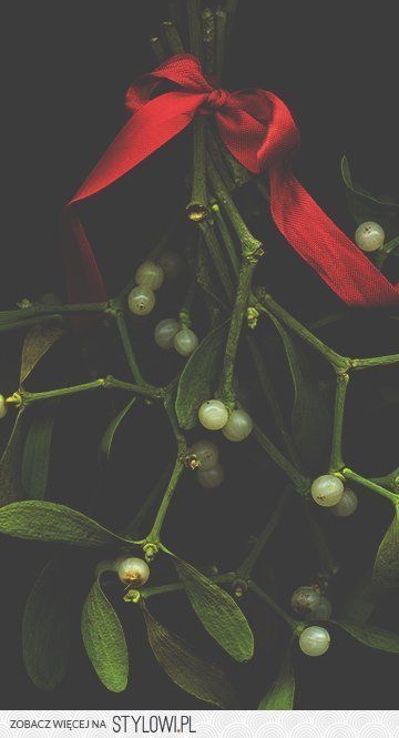 Mistletoe Aesthetic Wallpaper, Christmas Mistletoe Aesthetic, Mistletoe Aesthetic, Mistletoe Background, Mistletoe Wallpaper, Seasonal Backgrounds, Bookstagram Photos, Christmas Lovers, Winter Wallpaper