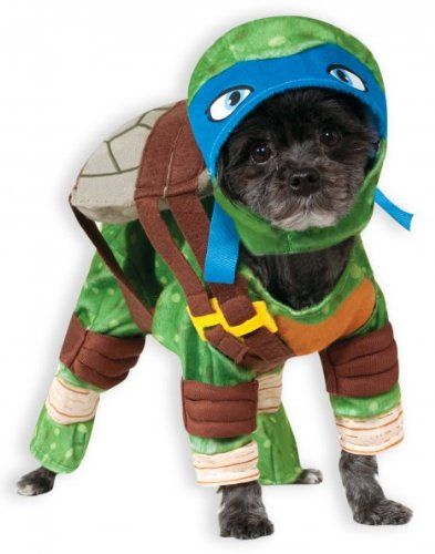 Diy Ninja, Best Dog Halloween Costumes, Teenage Mutant Ninja Turtles Leonardo, Ninja Turtles Leonardo, Ninja Turtle Costume, Leonardo Ninja Turtle, Leonardo Tmnt, Turtle Costumes, Teenage Mutant Ninja Turtle