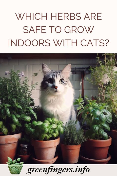 Fortunately, there are plenty of cat-friendly herbs that not only thrive indoors but also pique your feline’s interest in a non-toxic way. Cat Safe Herbs, Indoor Herb Garden Window, Cat Herb Garden, Cat Friendly Herbs, Herbs For Cats, Cat Friendly Herb Garden, Herbs Safe For Cats, Plants Safe For Cats And Dogs, Indoor Herb Garden Ideas