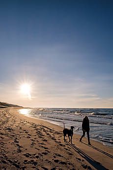 Girl And Her Dog, Big Dog, Big Dogs, T Rex, Stretching, Pilates, Surfing, The Unit, Media