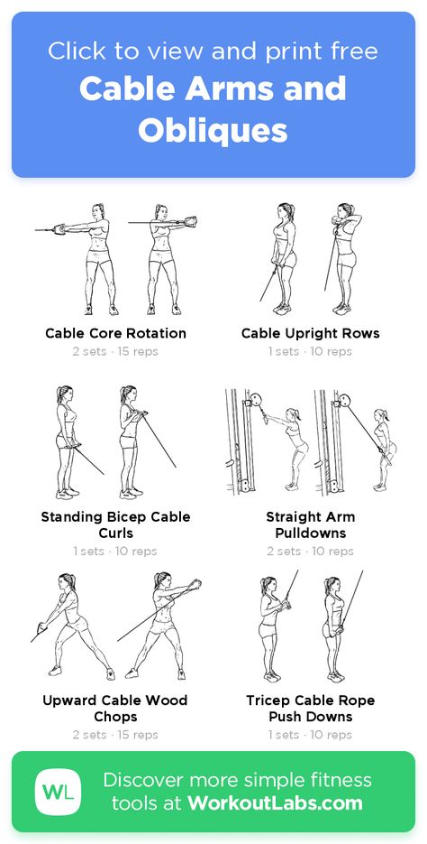 Cable Arms and Obliques – click to view and print this illustrated exercise plan created with #WorkoutLabsFit Cable Station Workout For Women, Advanced Arm Workout, Arm Workout Women Cables Gym, Arm And Core Workout Gym, Apartment Gym Workout Plan, Cable Exercises For Back, Cable Exercises, Cable Exercises For Women Arms, Cable Exercises For Women