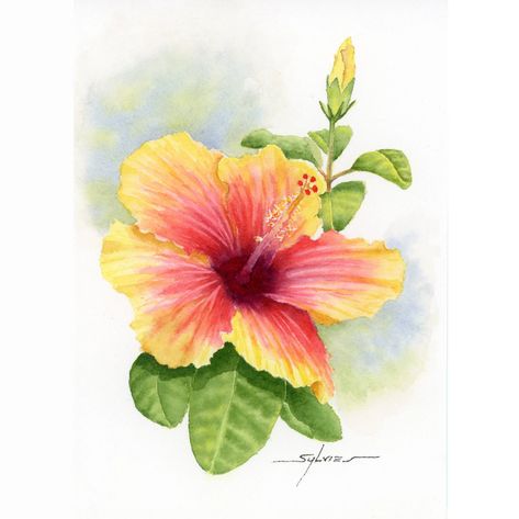 Hibiscus / Watercolor / Tropical / Flower / Hawaii | Etsy Tropical Flower Painting, Hibiscus Watercolor, Hibiscus Art, Flower Hawaii, Hawaiian Decor, Watercolor Tropical, Hawaiian Art, Tropical Flower, Only 1