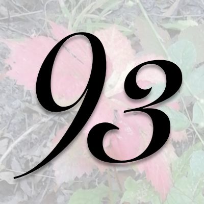 The number 93 is about creative expression of concerns and solutions for humanity. https://affinitynumerology.com/number-meanings/number-93-meaning.php 93 Tattoo Number, 93 Tattoo, Tattoo Number, Number Ideas, Number Tattoos, Numerology Numbers, Number Meanings, Door Furniture, Smile On