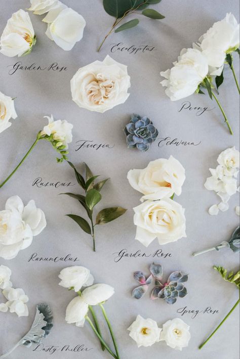 Types of Wedding Flowers by Colour | ElegantWedding.ca Types Of Wedding Flowers, Wedding Flower Types, Wedding Flower Guide, Flowers And Greenery, Beach Wedding Flowers, Unique Wedding Flowers, Flower Guide, Fall Wedding Flowers, White Wedding Flowers