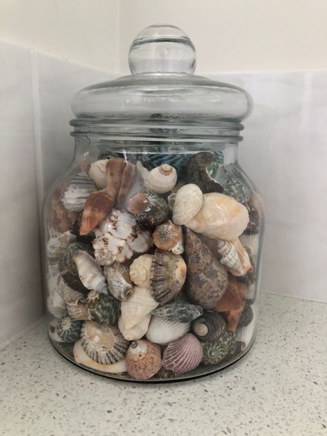 Shell Display Ideas Jars, Sea Shell Jar Ideas, Seashell Jar Display, Sand And Seashells In Jar, Seashell Jars Collection Displays, Display Quotes, Seashell Ideas, Shell Display, Space Aesthetic