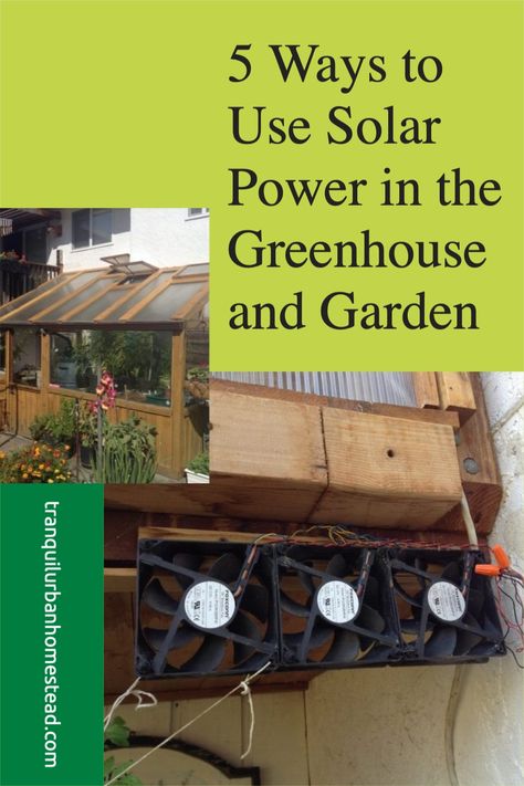 Saving money, saving the environment and saving time. These are the main reasons why using solar power in the garden and greenhouse is such a good idea! Solar Power For Greenhouse, Solar Panel For Greenhouse, Greenhouse Solar Panels, Solar Panel Greenhouse, Solar Heater For Greenhouse, Greenhouse Solar Heating, Solar Greenhouse Ideas, Greenhouse Solar Lights, Solar Power Greenhouse