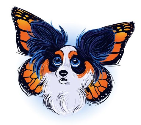 why they are called the butterfly dog. Nose Tattoo, Dog Outline, Papillon Butterfly, Drawing Dog, Wings Drawing, Papillon Dog, Time Drawing, Animation Sketches, Horse Crafts