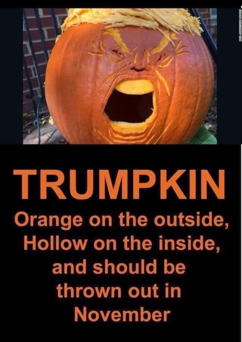 November Quotes, Quotes Funny, Pumpkin Carving, The Outsiders, Funny Pictures, Funny Quotes, Humor, Orange, Memes