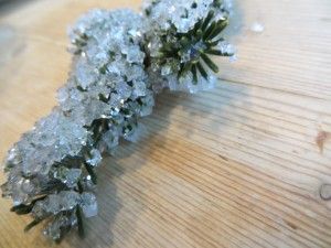 alum crystals on branches Alum Crystals How To Grow, Silver Crystal Flower, Alum Crystals, Alum Powder, Grow Crystals, Make Rock Candy, How To Make Rocks, Crystal Growing, Borax Crystals