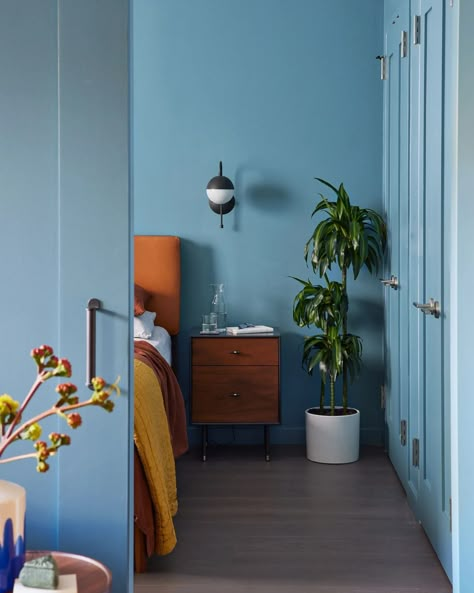 Warm Grey Walls, Best Bedroom Paint Colors, Blue Bookcase, Ideas Habitaciones, Brooklyn Apartment, Apartment Makeover, Small Space Design, Bedroom Paint Colors, Blue Rooms