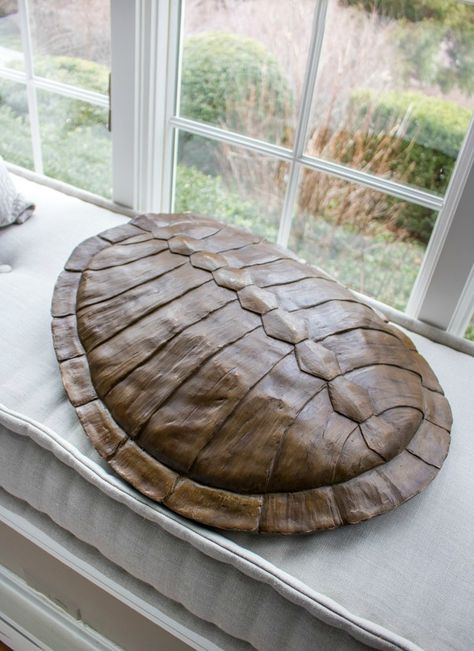 Turtle Shell Wall Decor, Turtle Shell Decor, Model Kitchen Design, Art In Home, Turtle Shells, Charleston House, Larp Props, Turtle Wall Decor, Purple Room Decor