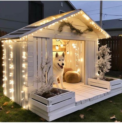 Upcycled Dog House, Dog Kennel Ideas Outdoor, Dog Kennel Ideas, Kennel Ideas Outdoor, Pallet Dog House, Dog Backyard, Dog Room Decor, Pets Supplies, Dog Bedroom