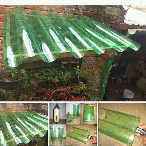 Recycled Products, Reuse Plastic Bottles, نباتات منزلية, Diy Greenhouse, Plastic Bottle Crafts, Front House Landscaping, Diy Garden Projects, Front Yard Landscaping Design, Recycled Crafts