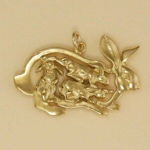 bunny rabbit with babies pendant in utero Baby Rabbits, Bunny Jewelry, Rabbit Jewelry, Rabbit Charm, Jewelry Lookbook, Body Jewellery, Jewelry Inspo, Boyfriend Girlfriend, Gold Filled Chain