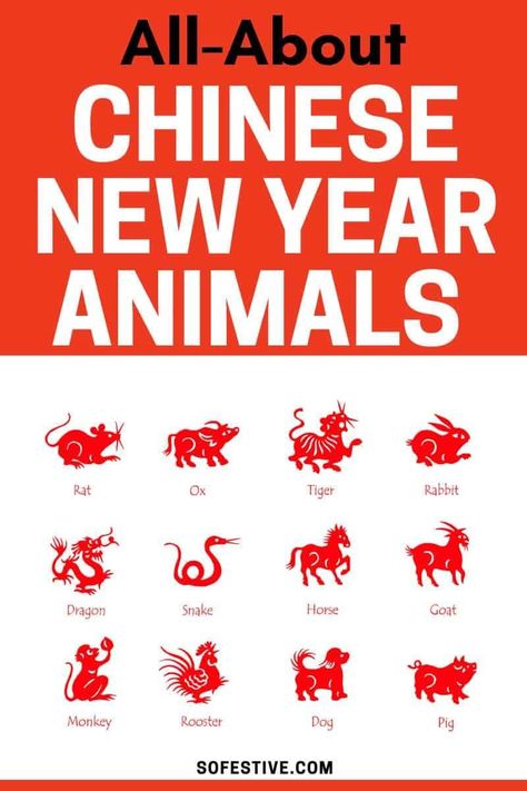 Chinese New Year Animals- HELPFUL INFO (2024)- So Festive! Chinese New Year Animals, What Animal Are You, Chinese Lunar Calendar, Chinese New Year Activities, Horse Animation, Chinese New Year Party, Chinese Lunar New Year, Monthly Activities, Chinese New Year Crafts