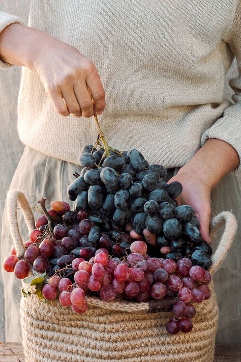 Grape Bowl, Harvest Basket, Grape Harvesting, Hands Holding, Balanced Meals, Grape Juice, Fine Food, Culinary Arts, Fall Harvest