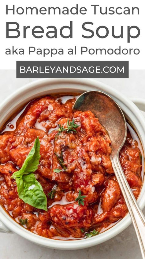 Tuscan bread soup (Pappa al Pomodoro) is a traditional Italian recipe made with tomatoes and stale bread, that is as simple as it is delicious! Tripe Recipes, Tuscan Bread, Tuscan Bean Soup, Fresh Meal, Italian Tomato Sauce, Bread Sauce, Bread Soup, Tomato Bread, Bread Dishes