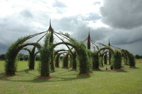 Living willow Willow Dome, Willow Fence, Living Willow, Living Fence, Areas Verdes, Garden Structures, Land Art, Natural Living, Dream Garden