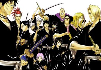 Bleach Swords, Bleach Captains, Abarai Renji, Ichigo Kurosaki Wallpaper, Kubo Tite, Kenpachi Zaraki, Toshiro Hitsugaya, Orihime Inoue, Bleach Anime Art