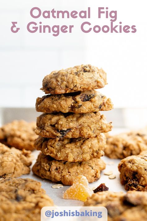 Deliciously chewy oatmeal cookies with dried figs, candied ginger, and a little cinnamon spice–perfect for the holidays! #cookies #cookierecipe #oatmealcookie #fig #ginger #figrecipe #gingercookie #christmascookie #holidaybaking Oatmeal Ginger Cookies, Fresh Fig Cookies Recipe, Oatmeal Fig Cookies, Fig Oatmeal, Cucciddati Recipe (sicilian Fig Cookies), Chewy Oatmeal Cookies, Fig Cookies, Oatmeal Cookies Chewy, Fig Recipes