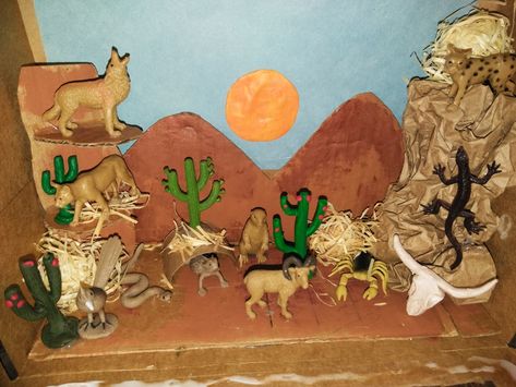 Diorama Desert Coyote Habitat Project, Desert Diarama Ideas, Desert Diorama Ideas For Kids, Desert Biome Project Ideas, Western Diorama, Ecosystems Diorama, Biome Project, Desert Project, Biomes Project