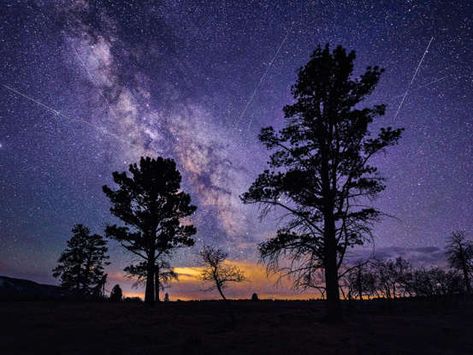 The Lyrid meteor shower could give you the chance to see up 20 shooting stars this weekend. Here's how to watch. Perseids Meteor, Perseid Meteor Shower, Halley's Comet, Bayeux Tapestry, Georgia Institute Of Technology, Ice Sheet, Family Beach Trip, Sea Ice, Closer To The Sun