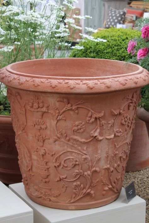 Ground Cover Plants Shade, Italian Terracotta Pots, Italian Terra Cotta Pots, Large Terracotta Pots, Italian Gardens, Terra Cotta Pottery, Plant Pot Design, Planter Project, Pots And Planters