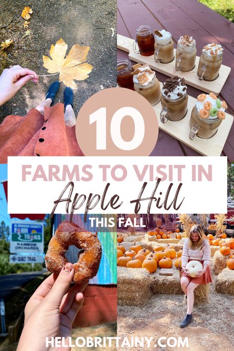 Apple Hill Outfit, Apple Hill California, Fall Apple Cider, Homemade Corndogs, Baked Pies, Cider Bar, Apple Hill, Caramel Treats, Hard Apple Cider