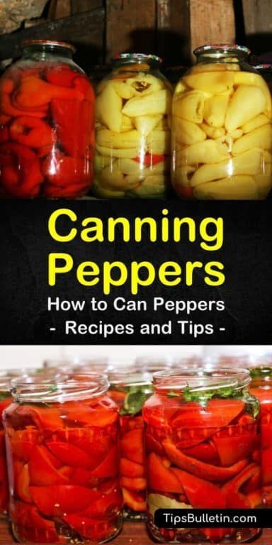 Hot Water Bath Canning Jalapenos, How To Can Hot Peppers From Garden, Canning Banana Peppers Water Bath, Picked Peppers Recipes, How To Preserve Peppers, Hot Pepper Canning Recipes, How To Make Pepper Sauce, Canning Peppers Recipes, Can Hot Peppers